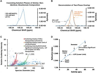 A bicarbonate-rich liquid condensed phase in non-saturated solutions in the absence of divalent cations